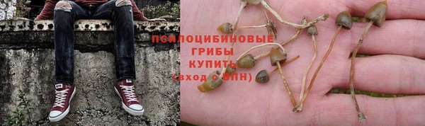 прущие крисы Нея