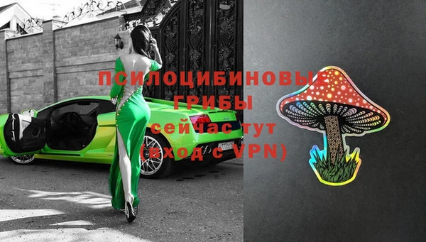 соль ск Нефтегорск