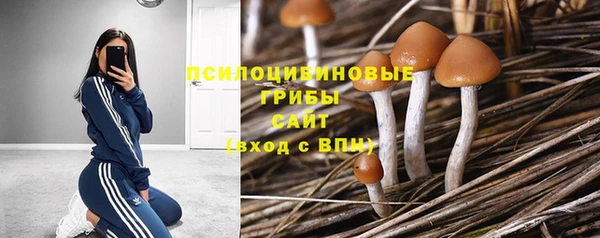 соль ск Нефтегорск