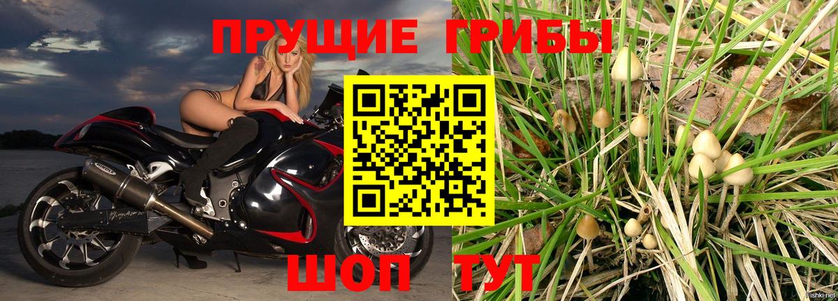 Галлюциногенные грибы GOLDEN TEACHER Зеленогорск
