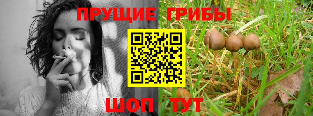 Псилоцибиновые грибы Magic Shrooms  Зеленогорск 